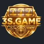 3S Game logo image