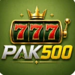 PAK500 Game logo image